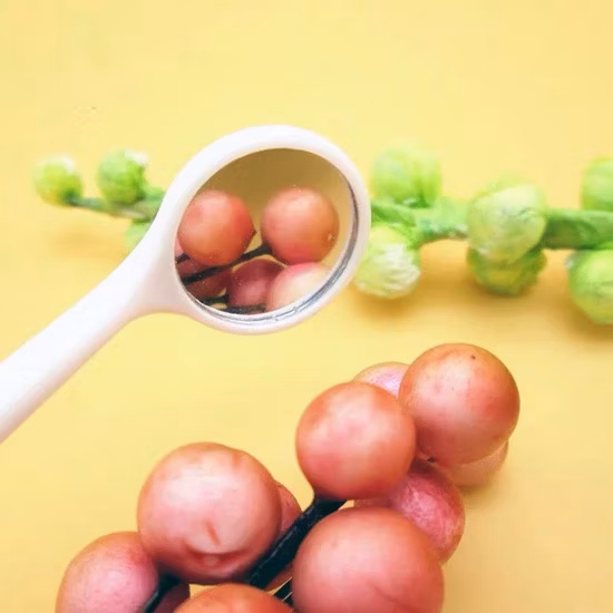 Dental-Munduntersuchungsreflektor, Einwegspiegel, Kunststoff-Antibeschlaglinse